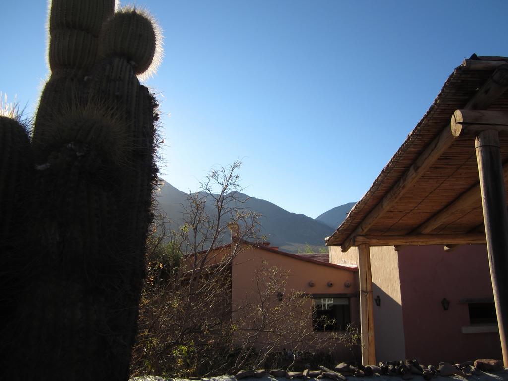 Posada Campo Morado 胡阿卡勒拉 外观 照片